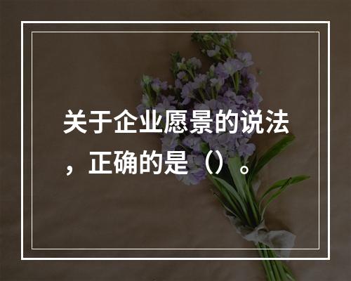 关于企业愿景的说法，正确的是（）。