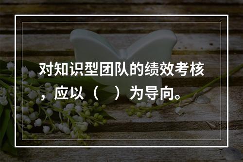 对知识型团队的绩效考核，应以（　）为导向。