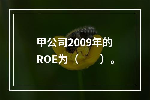 甲公司2009年的ROE为（　　）。