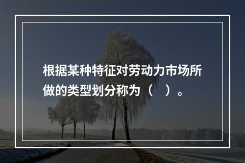 根据某种特征对劳动力市场所做的类型划分称为（　）。