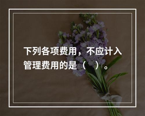 下列各项费用，不应计入管理费用的是（　）。