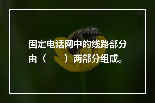 固定电话网中的线路部分由（　　）两部分组成。