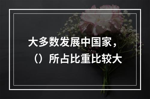 大多数发展中国家，（）所占比重比较大