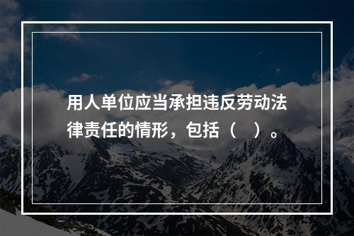 用人单位应当承担违反劳动法律责任的情形，包括（　）。