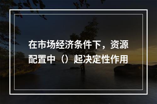 在市场经济条件下，资源配置中（）起决定性作用