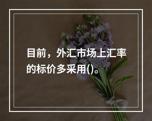 目前，外汇市场上汇率的标价多采用()。