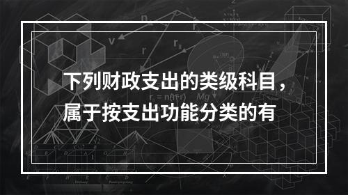 下列财政支出的类级科目，属于按支出功能分类的有