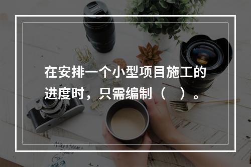 在安排一个小型项目施工的进度时，只需编制（　）。