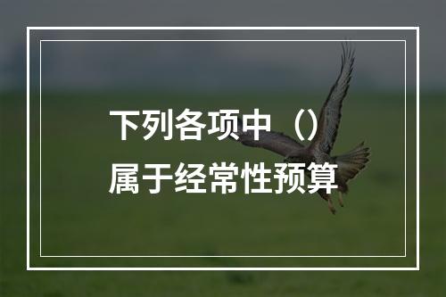 下列各项中（）属于经常性预算