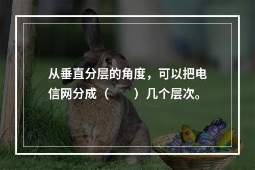 从垂直分层的角度，可以把电信网分成（　　）几个层次。