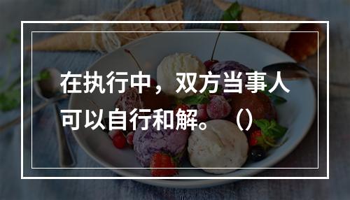 在执行中，双方当事人可以自行和解。（）