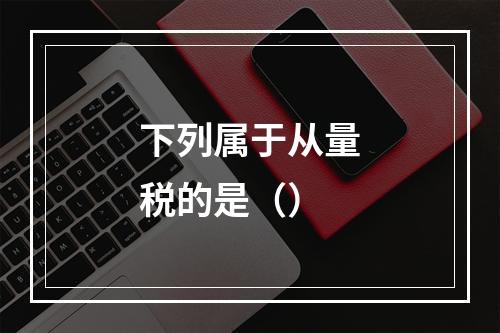 下列属于从量税的是（）