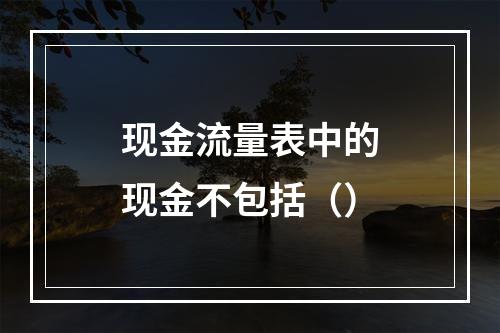 现金流量表中的现金不包括（）