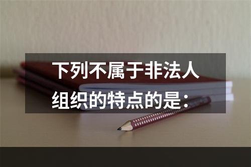 下列不属于非法人组织的特点的是：