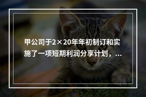 甲公司于2×20年年初制订和实施了一项短期利润分享计划，以对