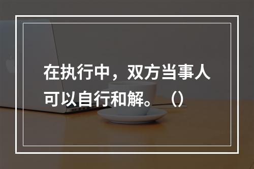 在执行中，双方当事人可以自行和解。（）