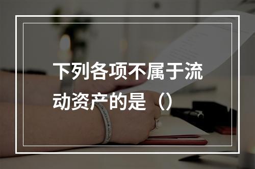 下列各项不属于流动资产的是（）