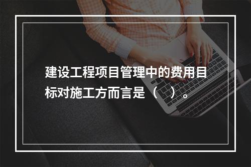 建设工程项目管理中的费用目标对施工方而言是（　）。