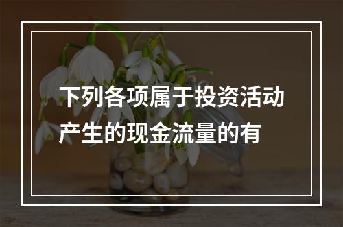 下列各项属于投资活动产生的现金流量的有