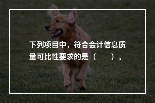 下列项目中，符合会计信息质量可比性要求的是（  ）。