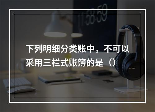 下列明细分类账中，不可以采用三栏式账簿的是（）