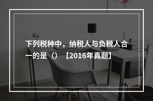 下列税种中，纳税人与负税人合一的是（）【2016年真题】