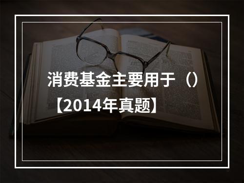 消费基金主要用于（）【2014年真题】