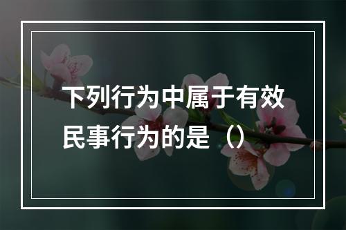 下列行为中属于有效民事行为的是（）