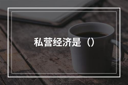 私营经济是（）