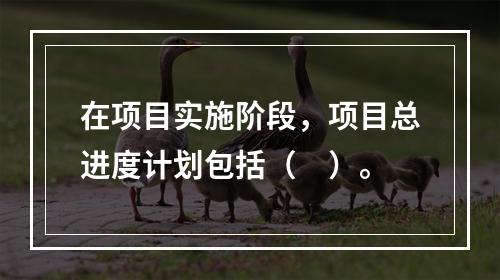 在项目实施阶段，项目总进度计划包括（　）。