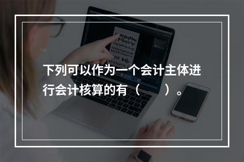 下列可以作为一个会计主体进行会计核算的有（  ）。