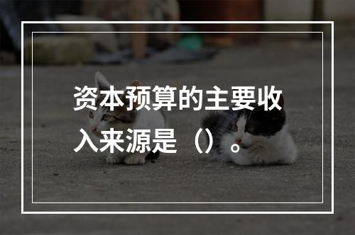 资本预算的主要收入来源是（）。