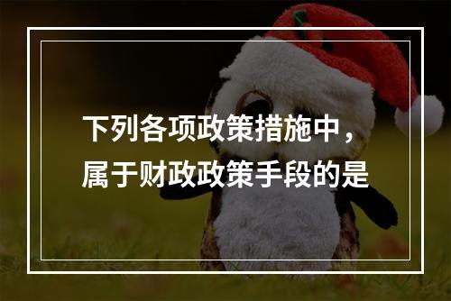 下列各项政策措施中，属于财政政策手段的是