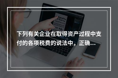 下列有关企业在取得资产过程中支付的各项税费的说法中，正确的有