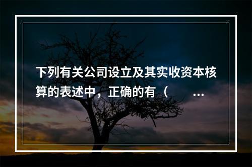 下列有关公司设立及其实收资本核算的表述中，正确的有（  ）。