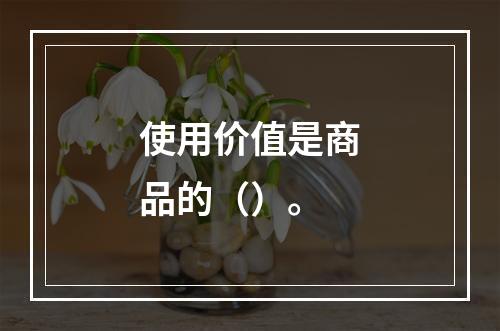 使用价值是商品的（）。