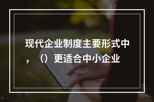 现代企业制度主要形式中，（）更适合中小企业