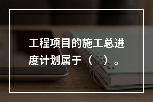 工程项目的施工总进度计划属于（　）。