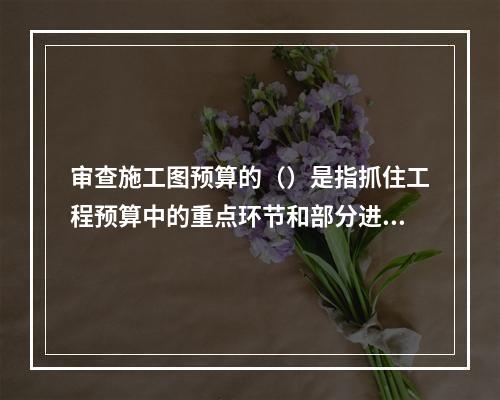 审查施工图预算的（）是指抓住工程预算中的重点环节和部分进行审