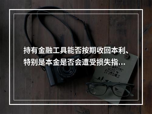 持有金融工具能否按期收回本利、特别是本金是否会遭受损失指的是