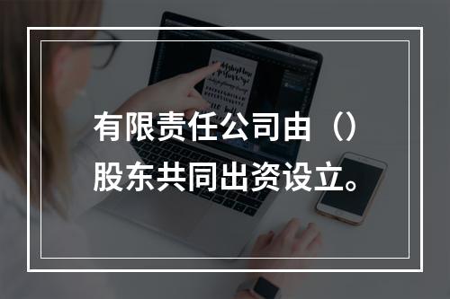 有限责任公司由（）股东共同出资设立。