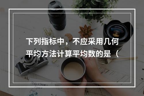 下列指标中，不应采用几何平均方法计算平均数的是（