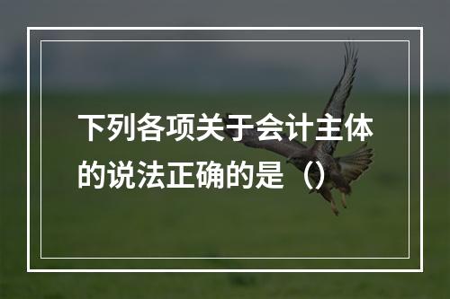 下列各项关于会计主体的说法正确的是（）