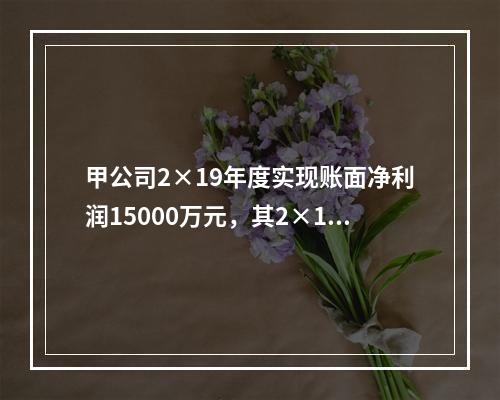 甲公司2×19年度实现账面净利润15000万元，其2×19年