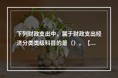 下列财政支出中，属于财政支出经济分类类级科目的是（）。【20