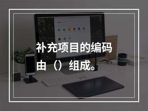 补充项目的编码由（）组成。