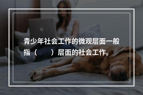 青少年社会工作的微观层面一般指（　　）层面的社会工作。