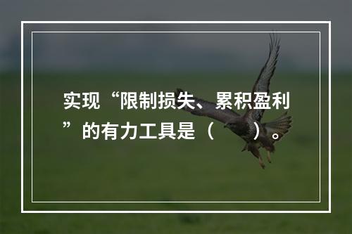 实现“限制损失、累积盈利”的有力工具是（　　）。