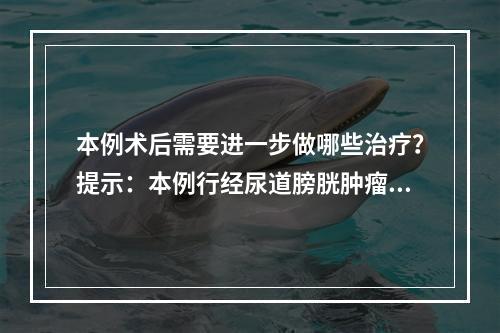 本例术后需要进一步做哪些治疗？提示：本例行经尿道膀胱肿瘤电切