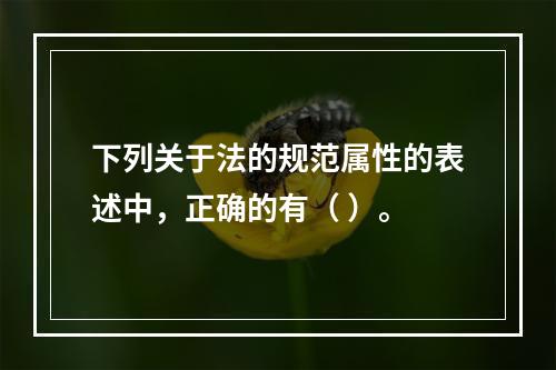 下列关于法的规范属性的表述中，正确的有（ ）。